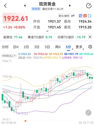 乌克兰或向俄“低头”？国际黄金受挫回撤